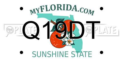 Q19DT Florida License Plate