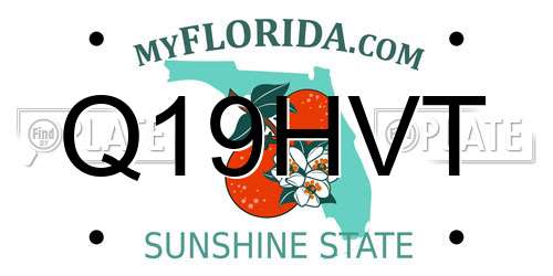 Q19HVT Florida License Plate