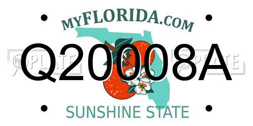Q20008A Florida License Plate