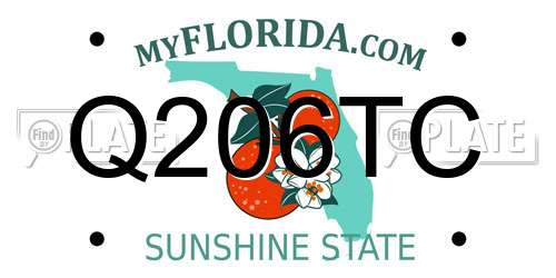 Q206TC Florida License Plate