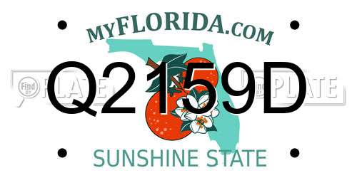 Q2159D Florida License Plate