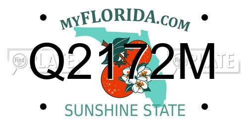 Q2172M Florida License Plate