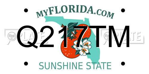 Q217TM Florida License Plate
