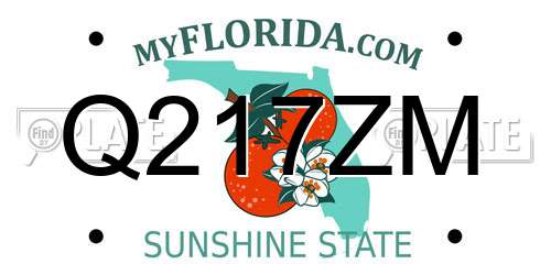 Q217ZM Florida License Plate
