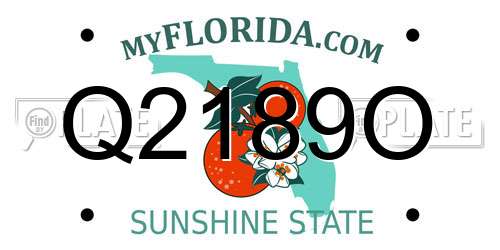 Q2189O Florida License Plate