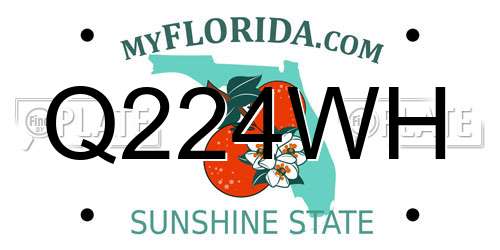 Q224WH Florida License Plate