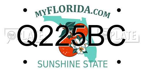 Q225BC Florida License Plate