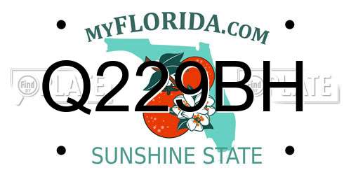 Q229BH Florida License Plate