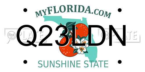 Q23LDN Florida License Plate