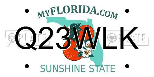 Q23WLK Florida License Plate