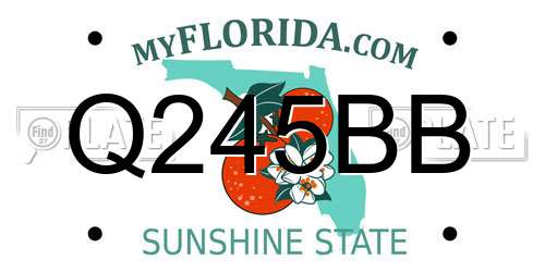Q245BB Florida License Plate