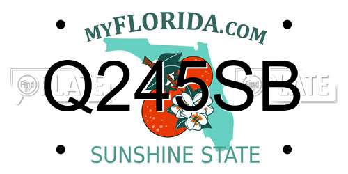 Q245SB Florida License Plate