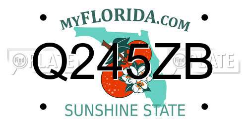 Q245ZB Florida License Plate