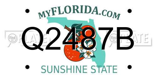 Q2487B Florida License Plate