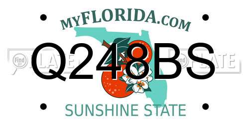 Q248BS Florida License Plate