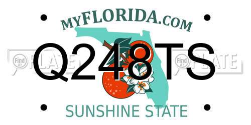 Q248TS Florida License Plate