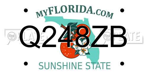 Q248ZB Florida License Plate