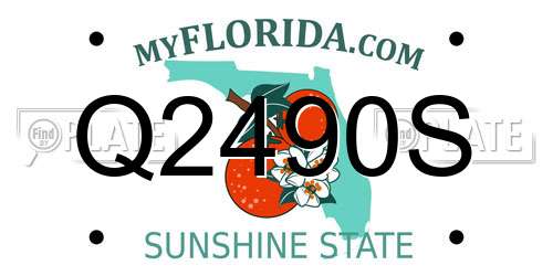 Q2490S Florida License Plate