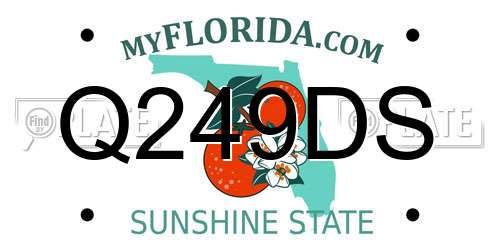 Q249DS Florida License Plate