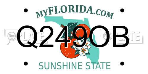 Q249OB Florida License Plate