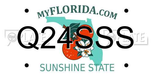 Q24SSS Florida License Plate