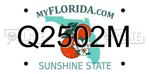 Q2502M Florida License Plate