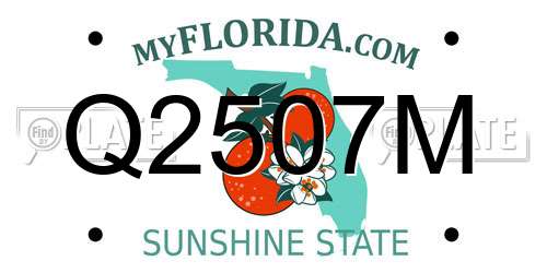 Q2507M Florida License Plate