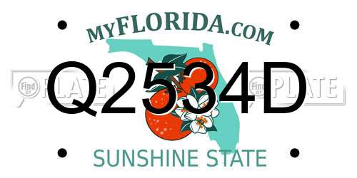 Q2534D Florida License Plate