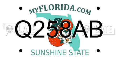 Q258AB Florida License Plate