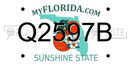 Q2597B Florida License Plate