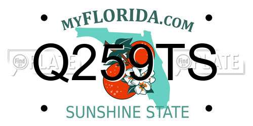 Q259TS Florida License Plate