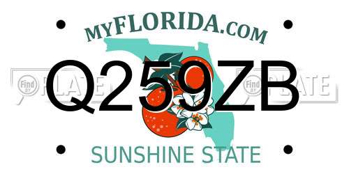 Q259ZB Florida License Plate