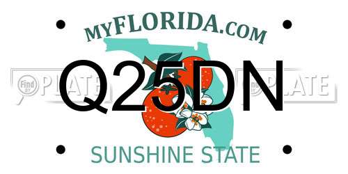 Q25DN Florida License Plate