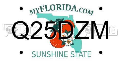 Q25DZM Florida License Plate