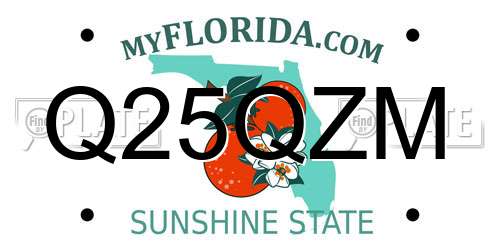 Q25QZM Florida License Plate