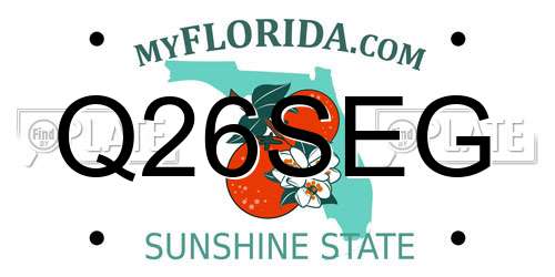 Q26SEG Florida License Plate