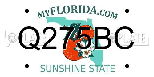 Q275BC Florida License Plate