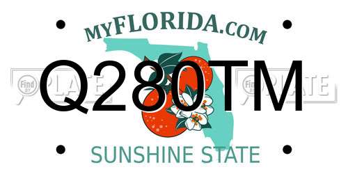 Q280TM Florida License Plate