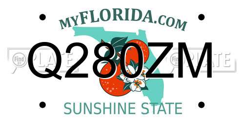 Q280ZM Florida License Plate