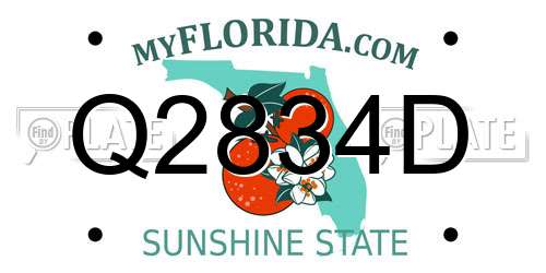 Q2834D Florida License Plate