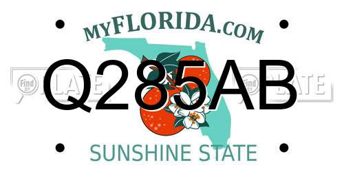 Q285AB Florida License Plate