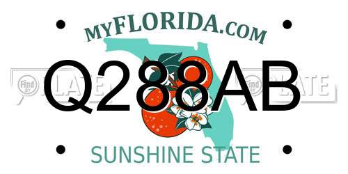 Q288AB Florida License Plate