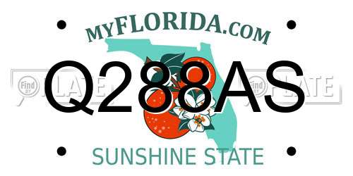 Q288AS Florida License Plate