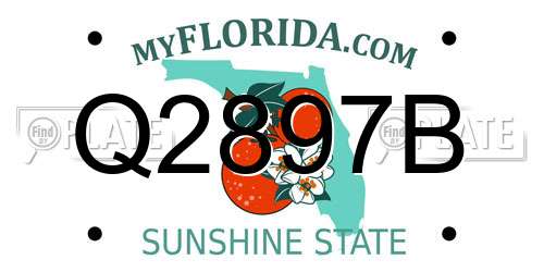 Q2897B Florida License Plate