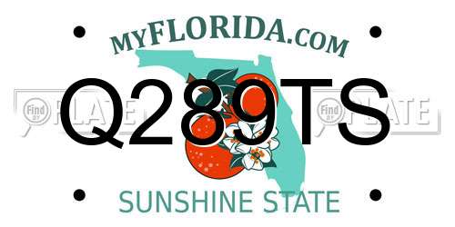 Q289TS Florida License Plate