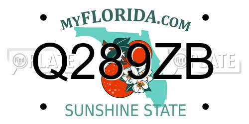 Q289ZB Florida License Plate