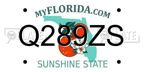 Q289ZS Florida License Plate