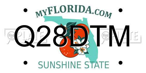 Q28DTM Florida License Plate