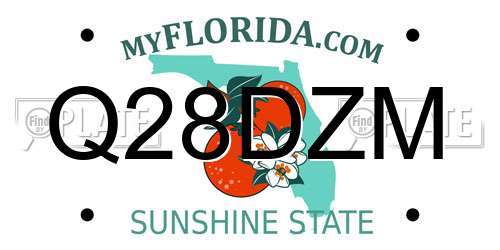 Q28DZM Florida License Plate