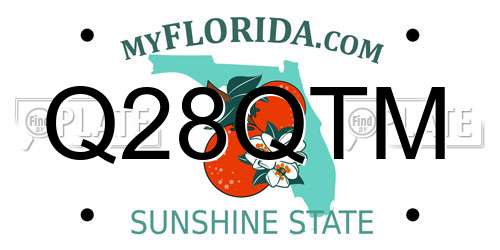 Q28QTM Florida License Plate